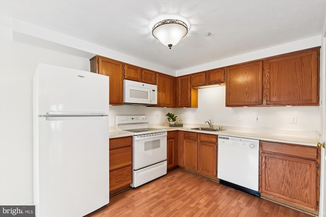 kitchen featuring white appliances, light hardwood / wood-style flooring, and sink