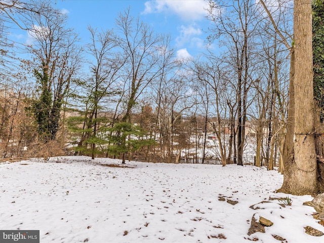 view of snow covered land