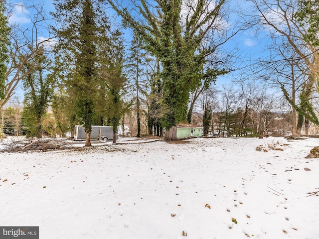 view of snowy yard