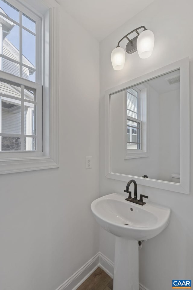 bathroom with wood-type flooring