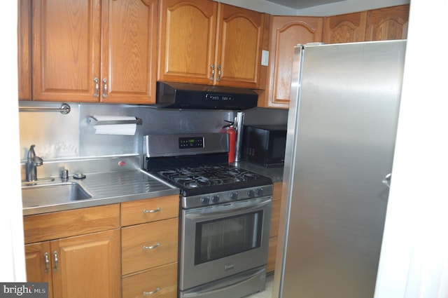 kitchen with stainless steel appliances, sink, and exhaust hood