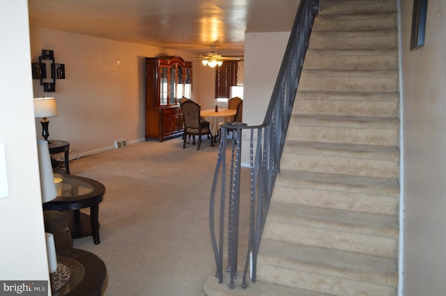 staircase featuring ceiling fan and carpet