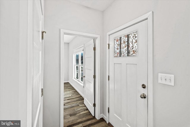 foyer entrance with dark wood-type flooring