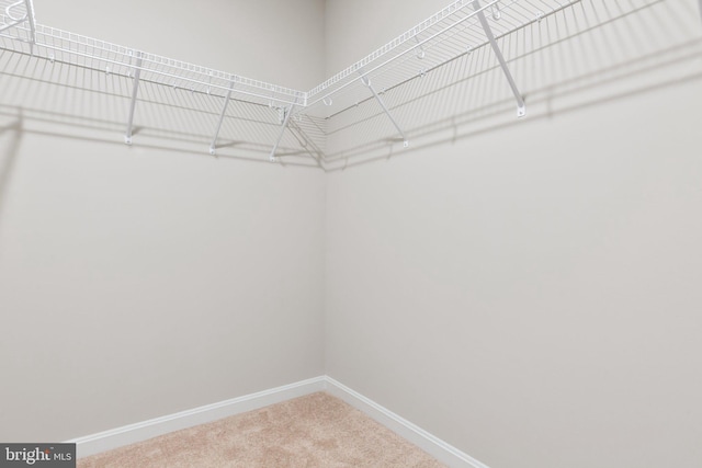 LOT4 Lakeview Dr, Colonial Beach, VA 22443 - spacious closet with carpet flooring
