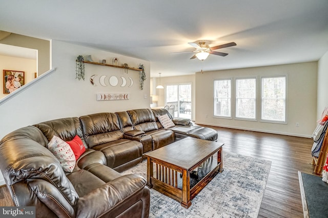 living room with plenty of natural light, dark hardwood / wood-style floors, and ceiling fan