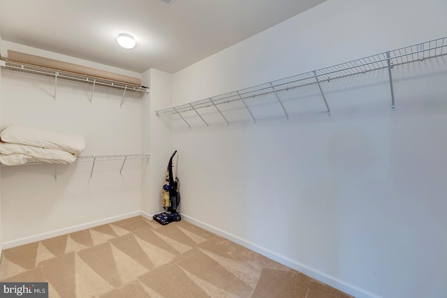 walk in closet featuring carpet