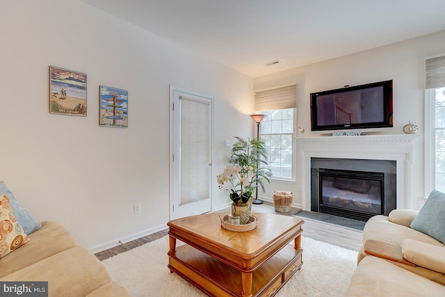 living room featuring a healthy amount of sunlight and light hardwood / wood-style floors