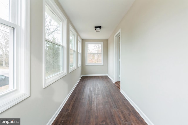 hallway with dark hardwood / wood-style flooring