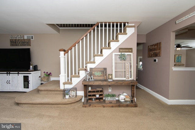 stairs featuring carpet flooring and ceiling fan