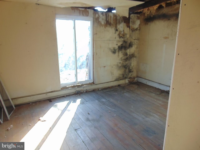 spare room with wood-type flooring