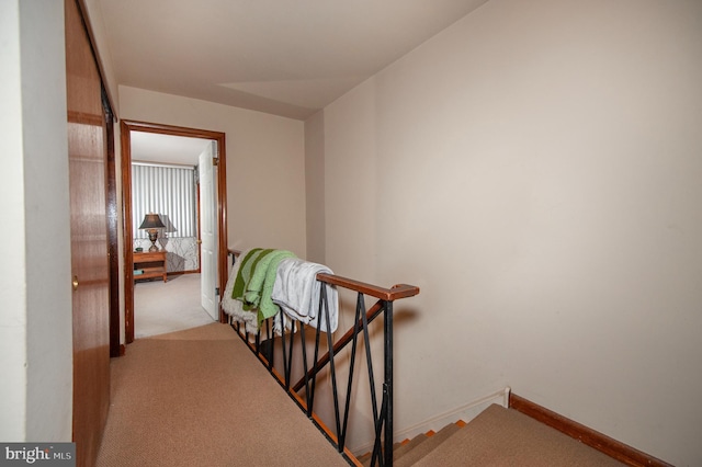 staircase with carpet