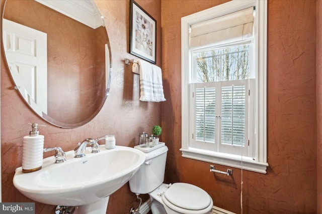 bathroom with sink, a wealth of natural light, ornamental molding, and toilet