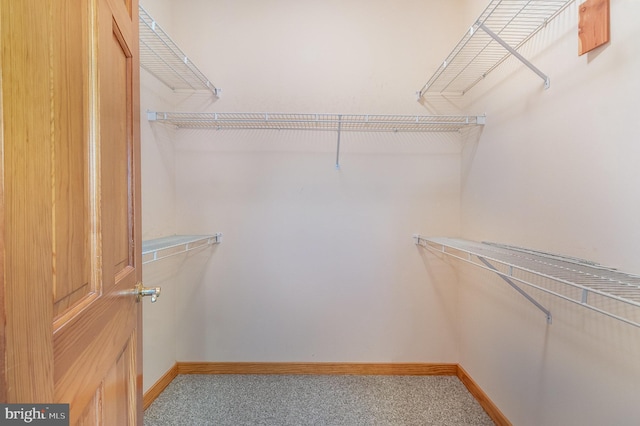 walk in closet with carpet