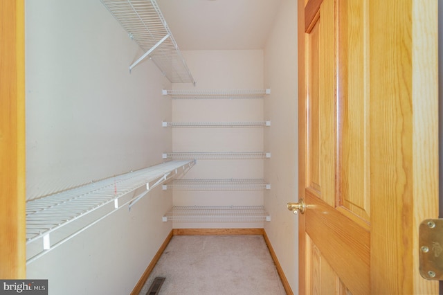 walk in closet with visible vents and carpet flooring