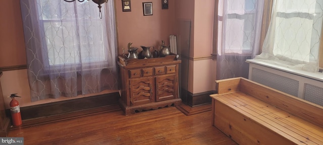 living area featuring hardwood / wood-style flooring