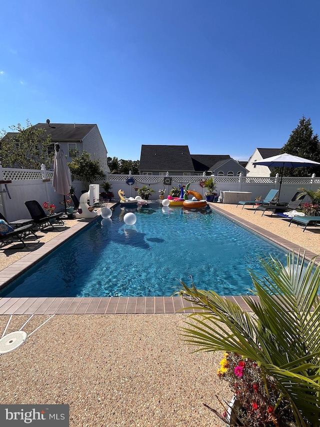 view of pool featuring a patio area