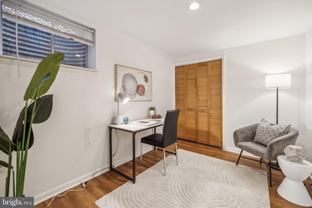 office featuring wood-type flooring