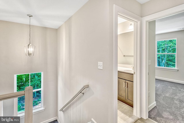 stairway with sink and carpet flooring