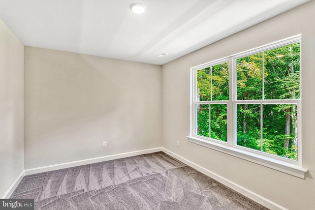 carpeted spare room featuring a wealth of natural light