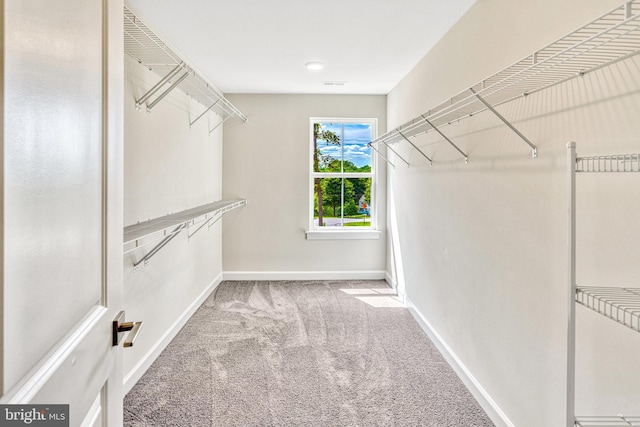 walk in closet with carpet