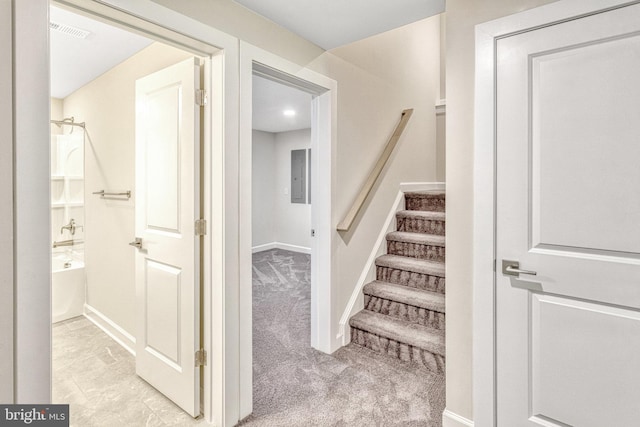 staircase featuring carpet floors