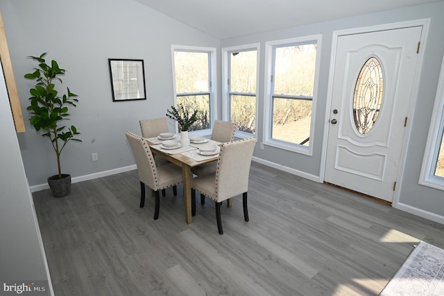 dining area with dark hardwood / wood-style floors, a wealth of natural light, and lofted ceiling