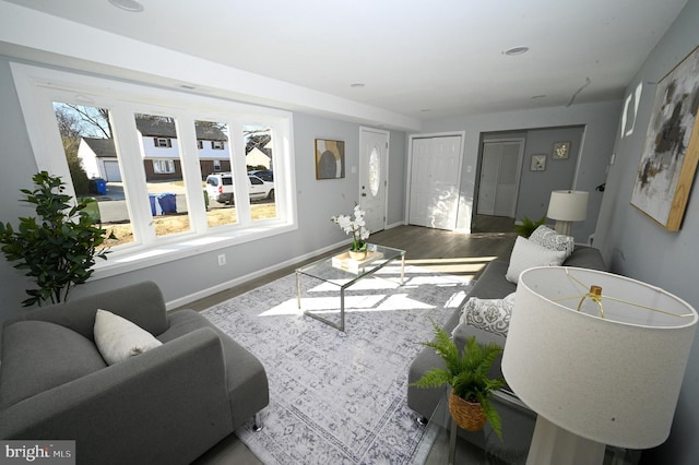 living room with hardwood / wood-style flooring and plenty of natural light