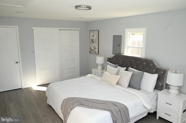 bedroom with electric panel, dark hardwood / wood-style floors, and a closet