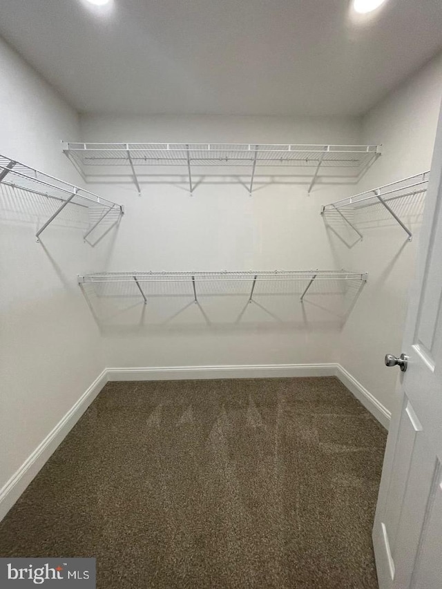 spacious closet with dark colored carpet