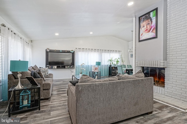 living room featuring wood-type flooring and lofted ceiling