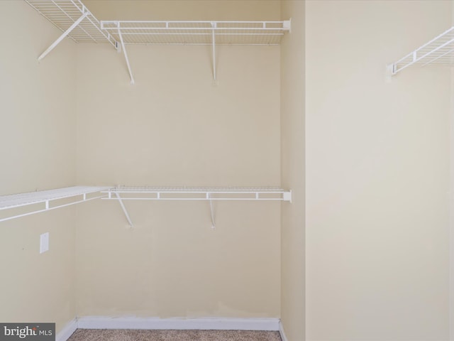 spacious closet with light colored carpet