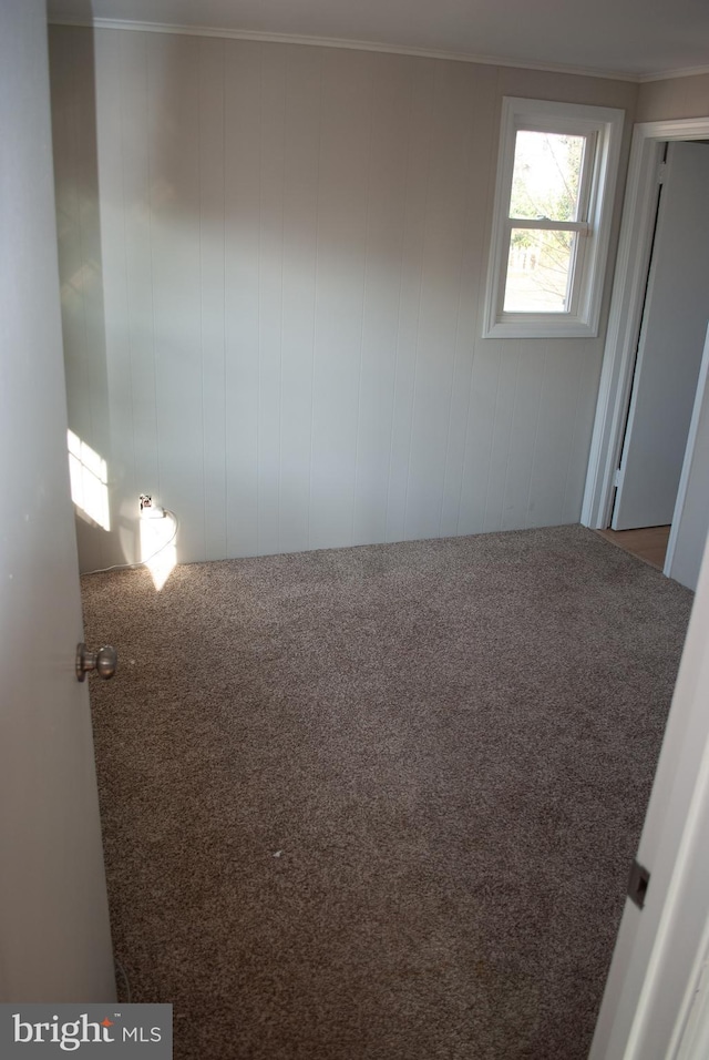 carpeted empty room with wooden walls