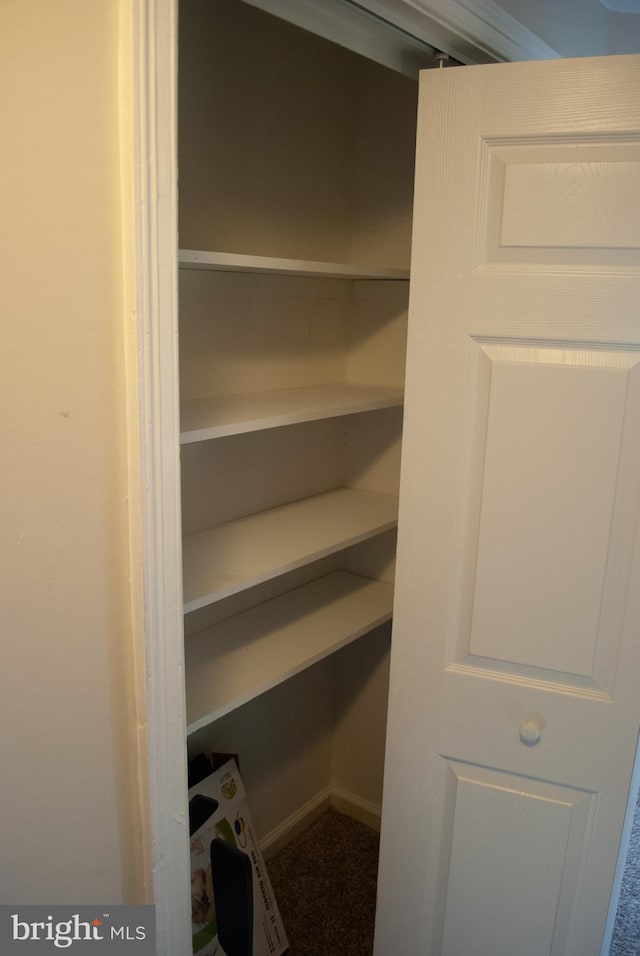 view of closet