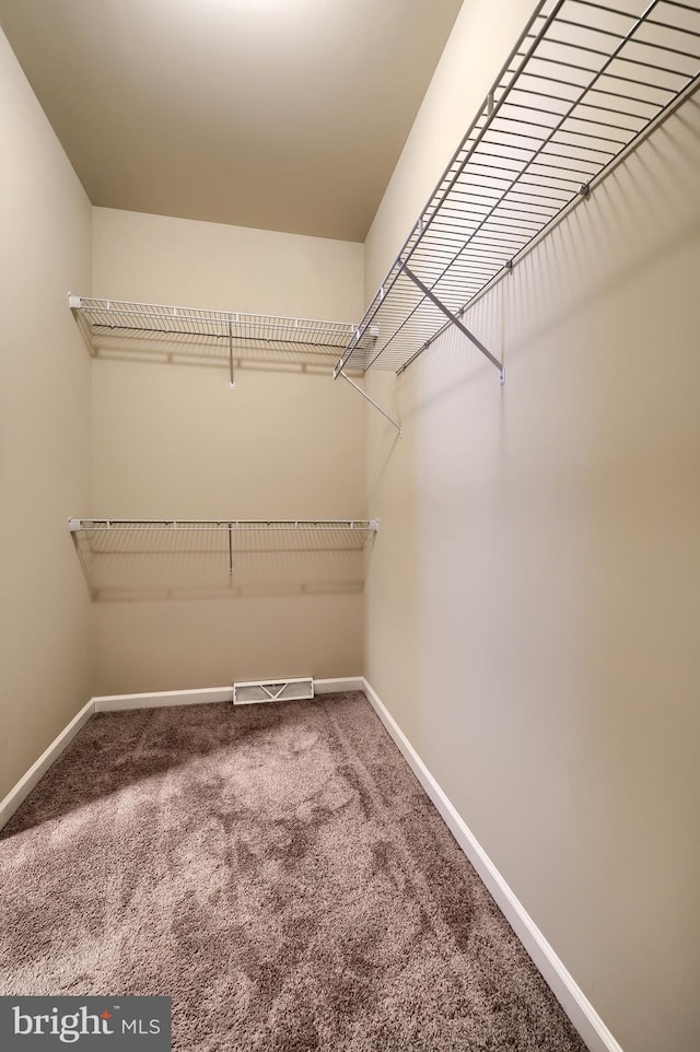 walk in closet with carpet flooring