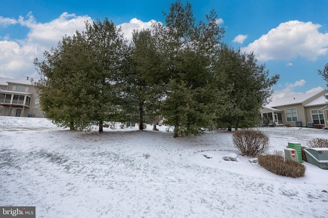 view of snowy yard