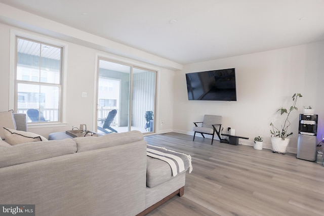 living room featuring wood-type flooring