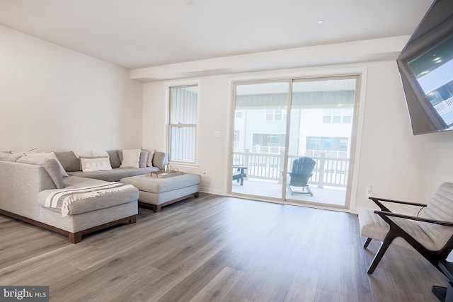 living room featuring light hardwood / wood-style floors