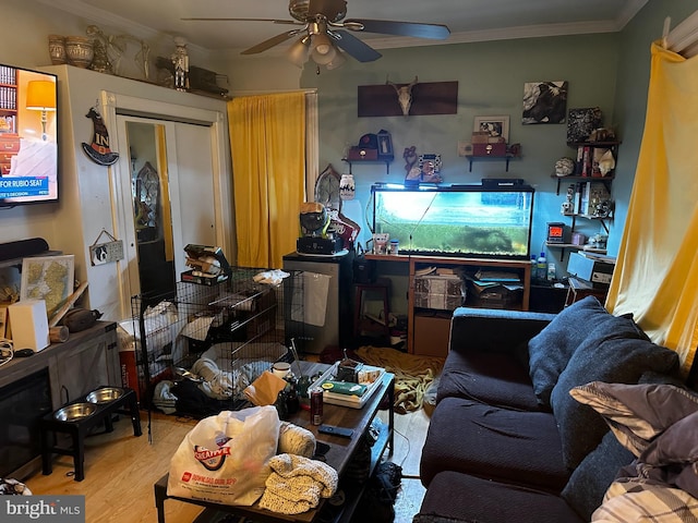 living room with light wood-type flooring, ceiling fan, and ornamental molding