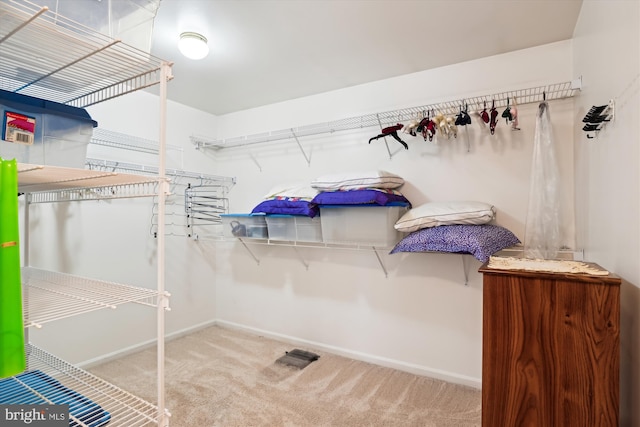 spacious closet with carpet flooring