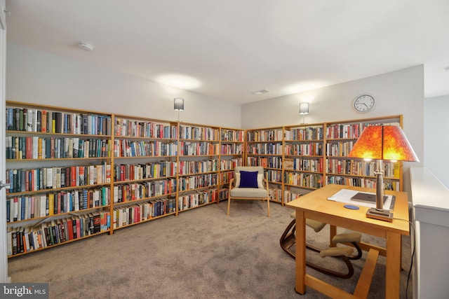 office area featuring carpet