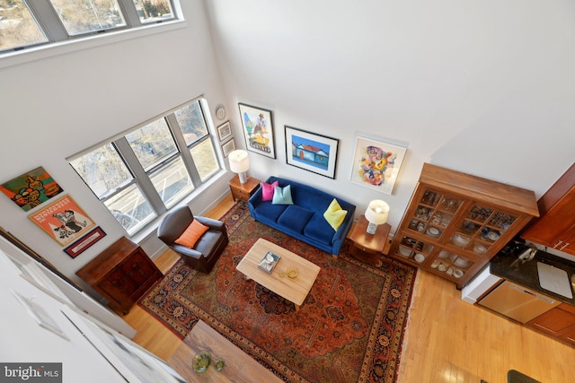 living room with hardwood / wood-style floors and a towering ceiling