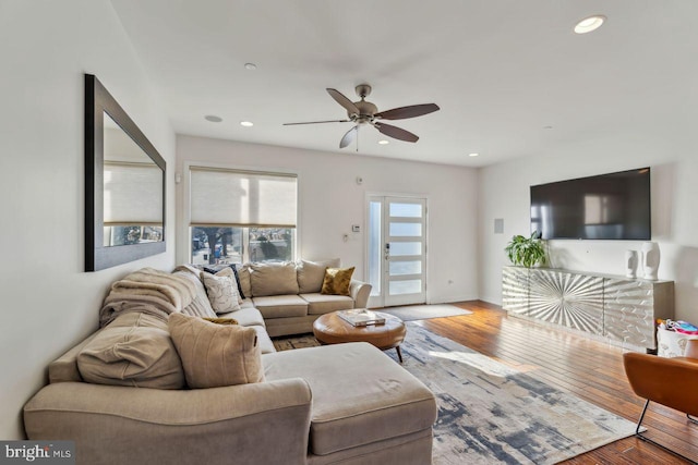 living room with ceiling fan and wood-type flooring