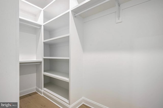 spacious closet featuring hardwood / wood-style flooring