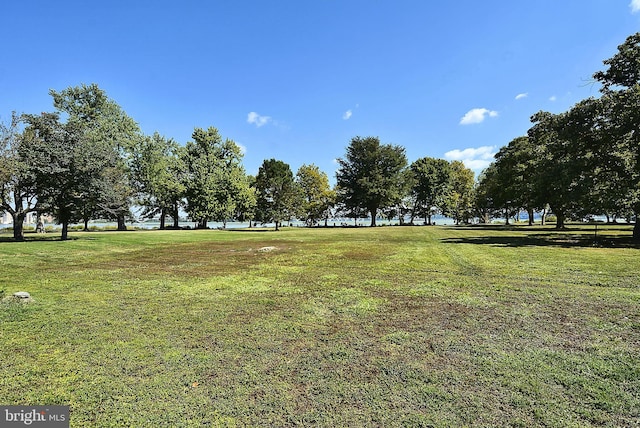 view of property's community with a yard