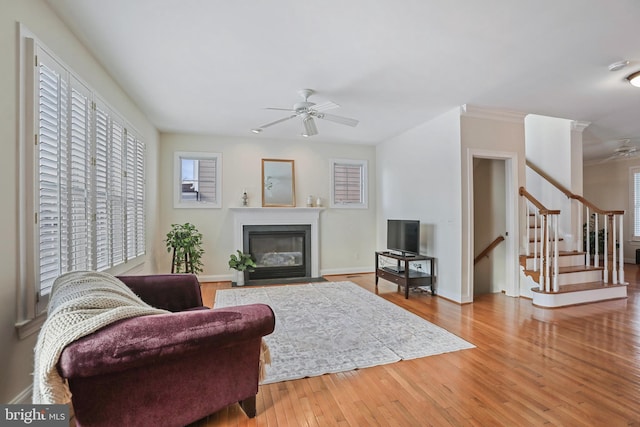 living room with hardwood / wood-style floors, ceiling fan, and crown molding