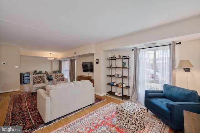 living room featuring wood-type flooring