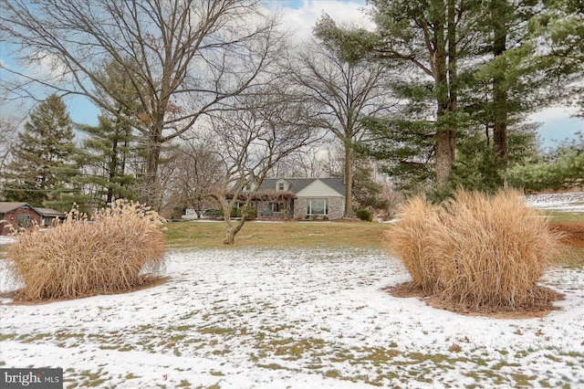 view of yard layered in snow