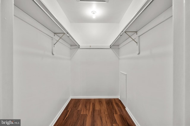 walk in closet featuring dark wood-type flooring