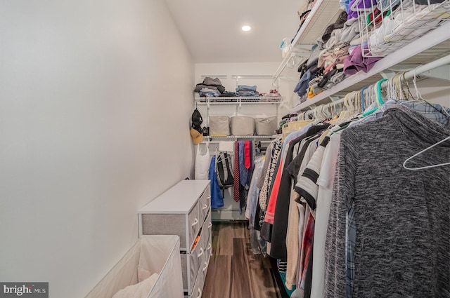 spacious closet featuring dark hardwood / wood-style flooring