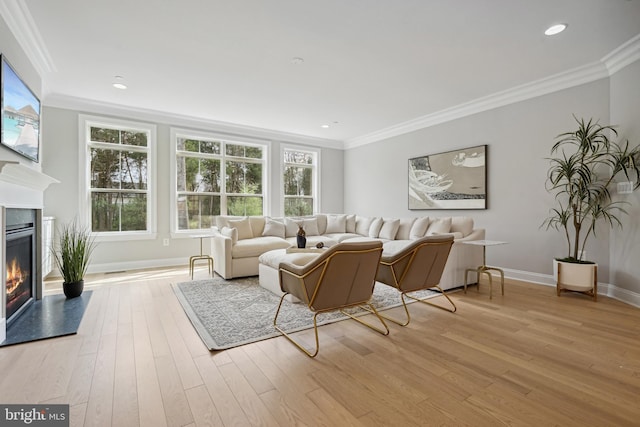 living room with ornamental molding and light hardwood / wood-style floors